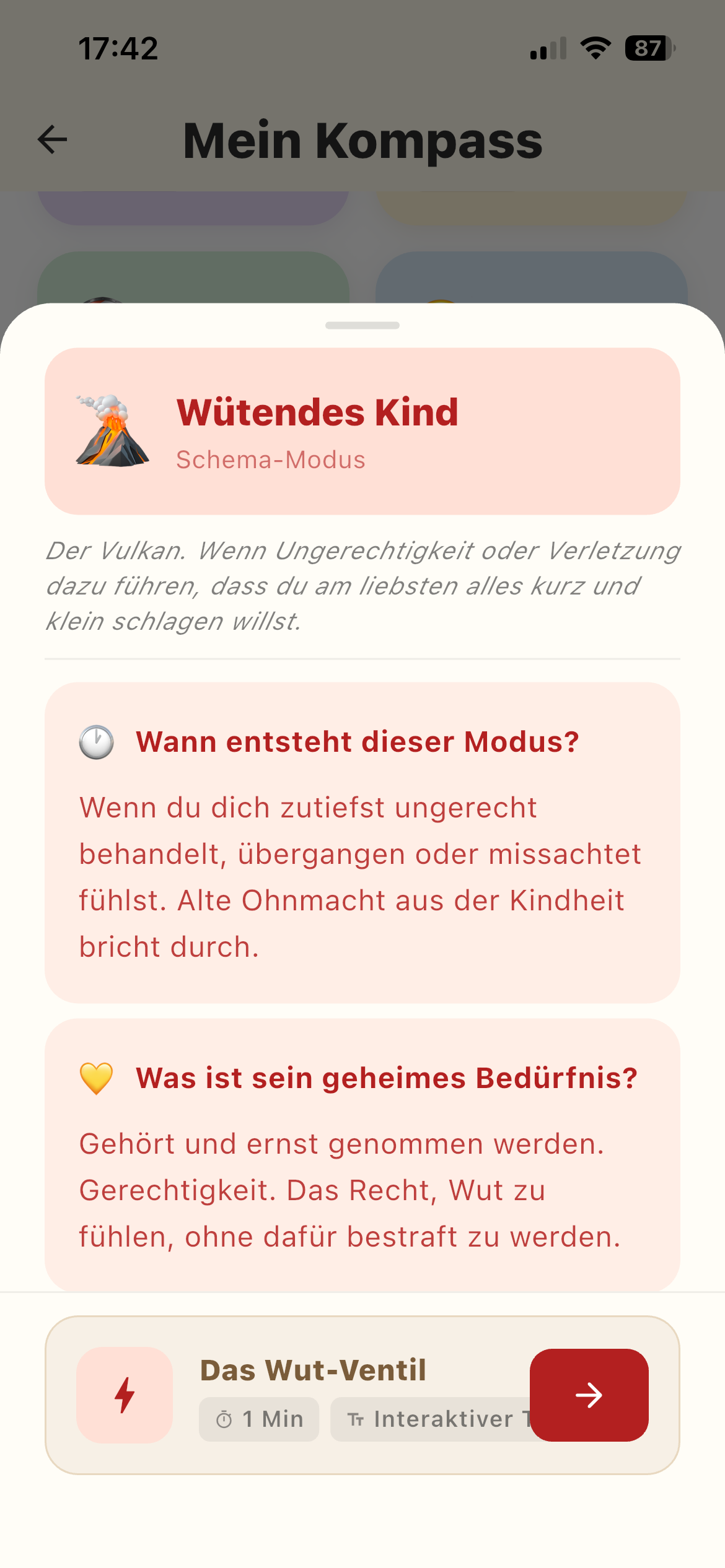 Wütendes Kind – Schema-Modus